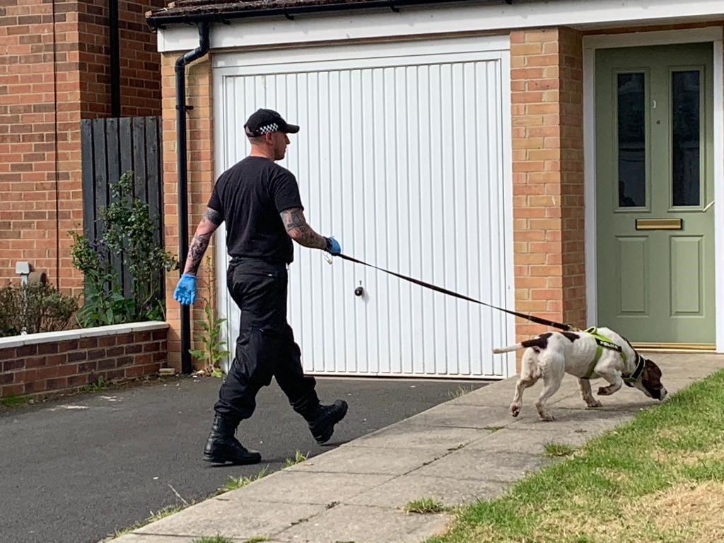 16 people were arrested during the second phase of Operation Artemis