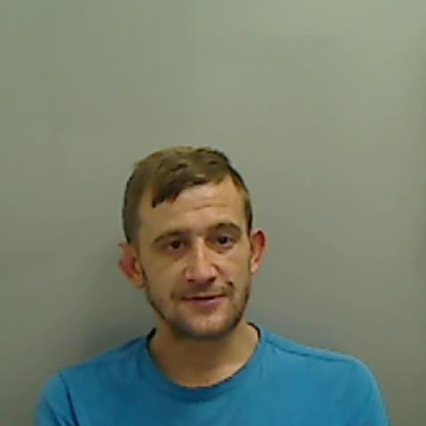 David William Jenkins, 31, was sentenced to five years plus two years on extended licence