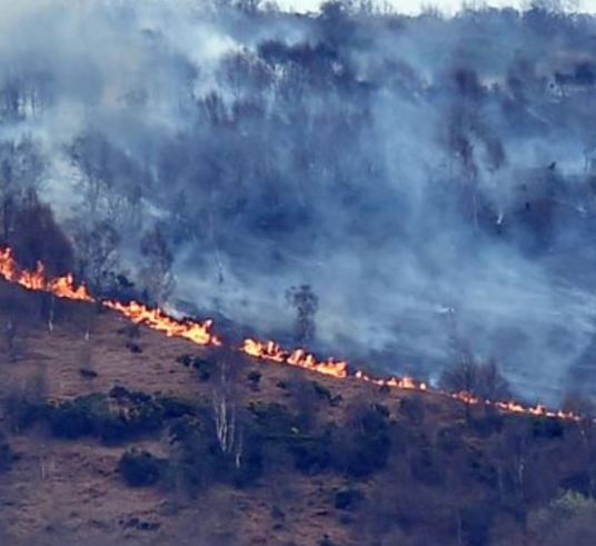 Cleveland Fire Brigade and Cleveland Police are joining forces to tackle the problem of deliberate fire setting on Eston Hills