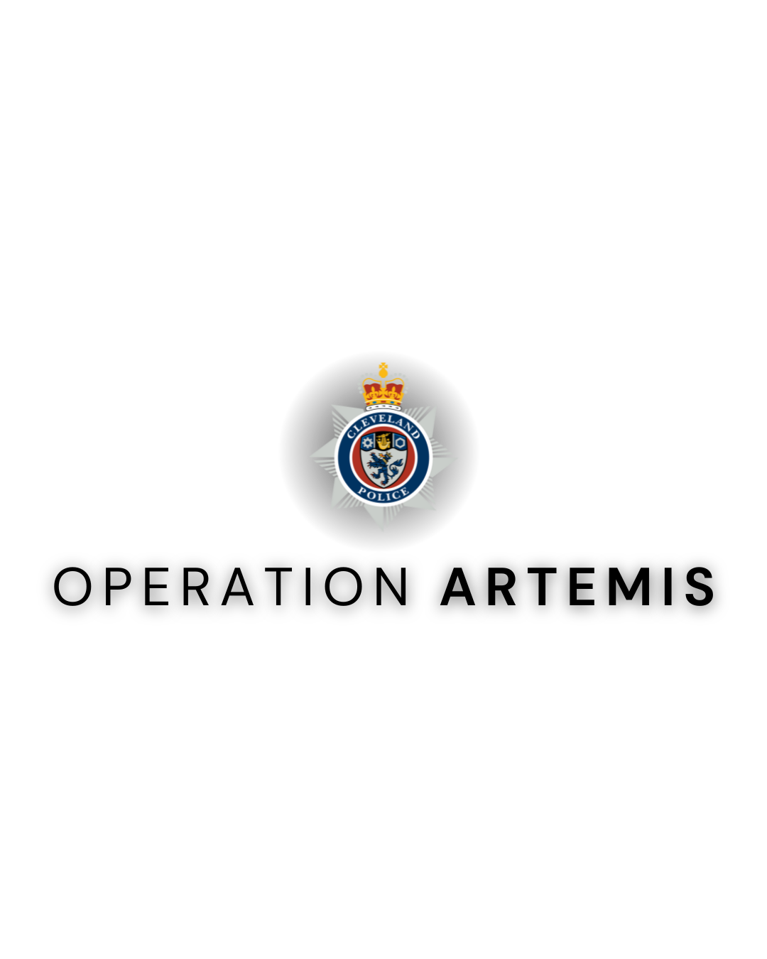 A total of 20 people were arrested during the latest Operation Artemis 
