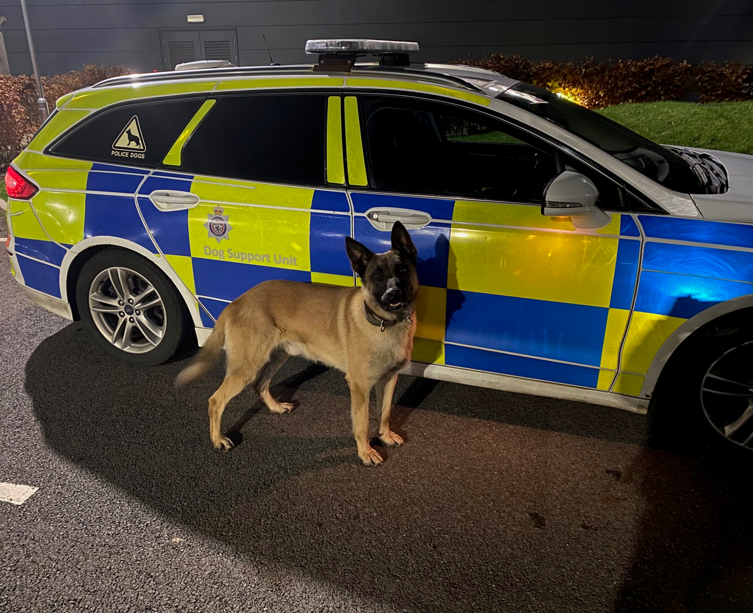 Police Dog Kuro and handler PC Whitehouse attended the scene to search for Bailey
