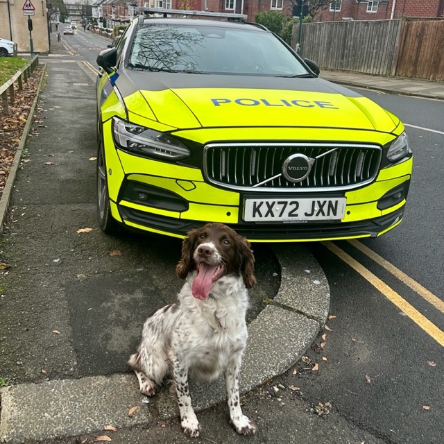 Officers from the Proactive Team assisted by police dog Harper arrested a man following a drugs warrant in Eston