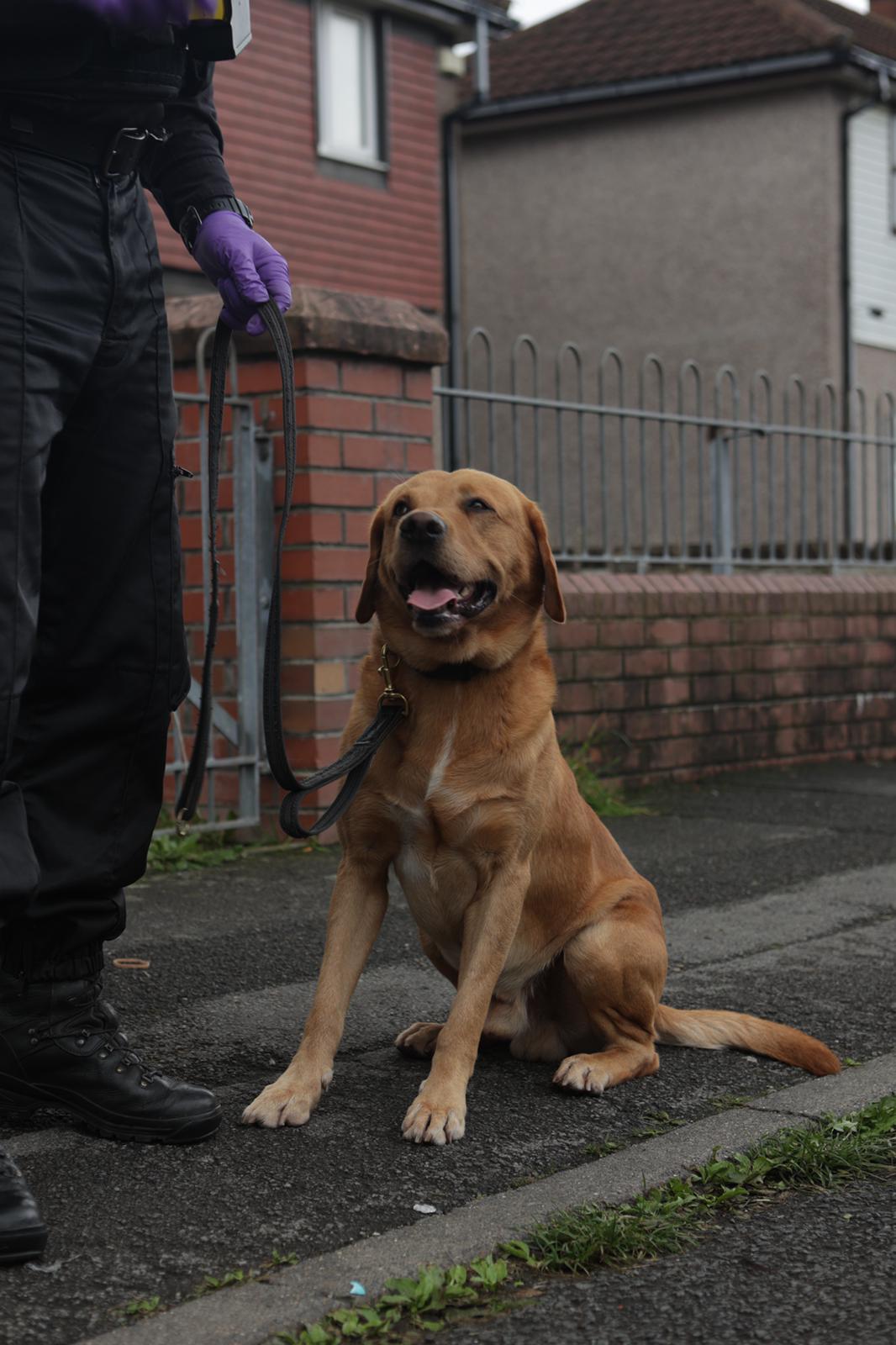 Redcar and Cleveland’s policing district saw varied and intense activity during Operation Artemis.