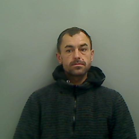 Lee Davidson