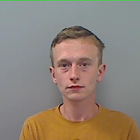 Gareth Pettit sentenced