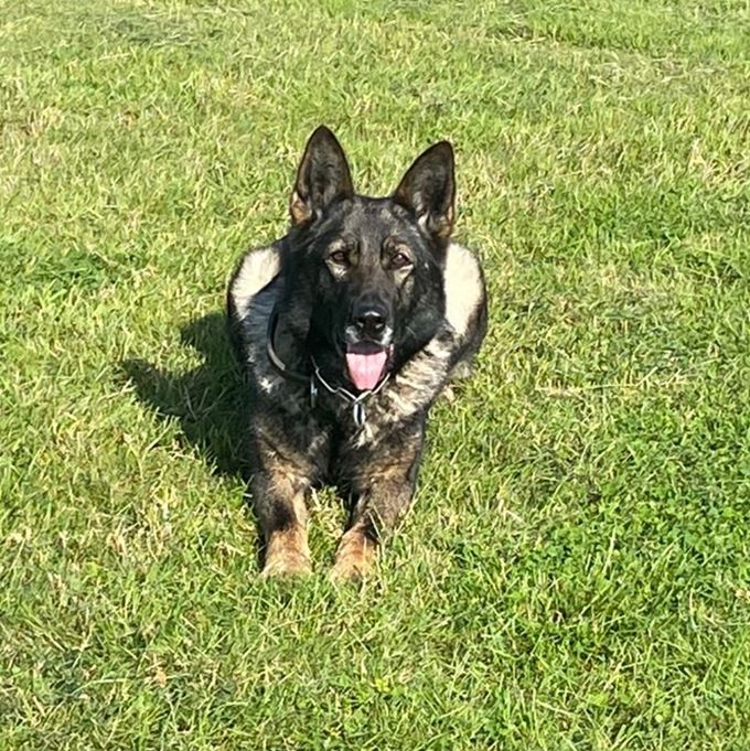 PD Keira