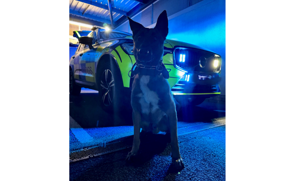PD Raegar