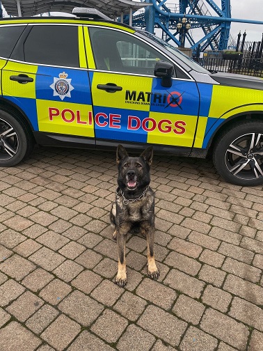 PD Kira