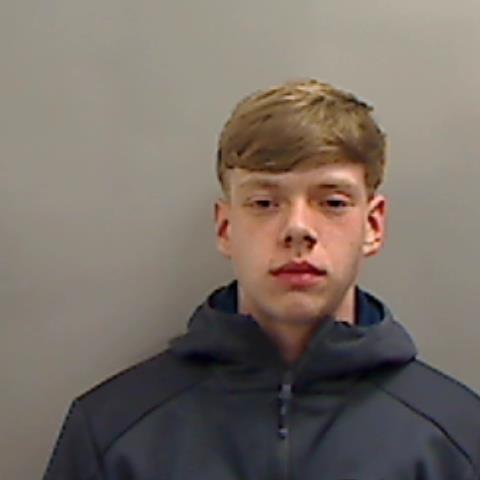 sonny horsfall