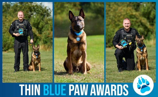 PD Dutch