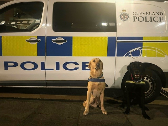 Drugs were seized and a number of people were dealt with for possession offences during a night-time economy focused operation across Middlesbrough and Stockton